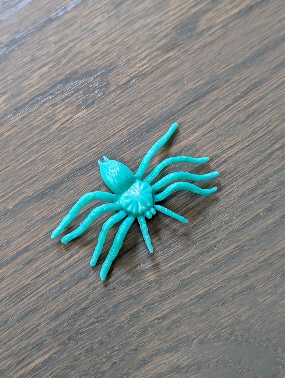 Turquoise Blue Plastic Toy Spider